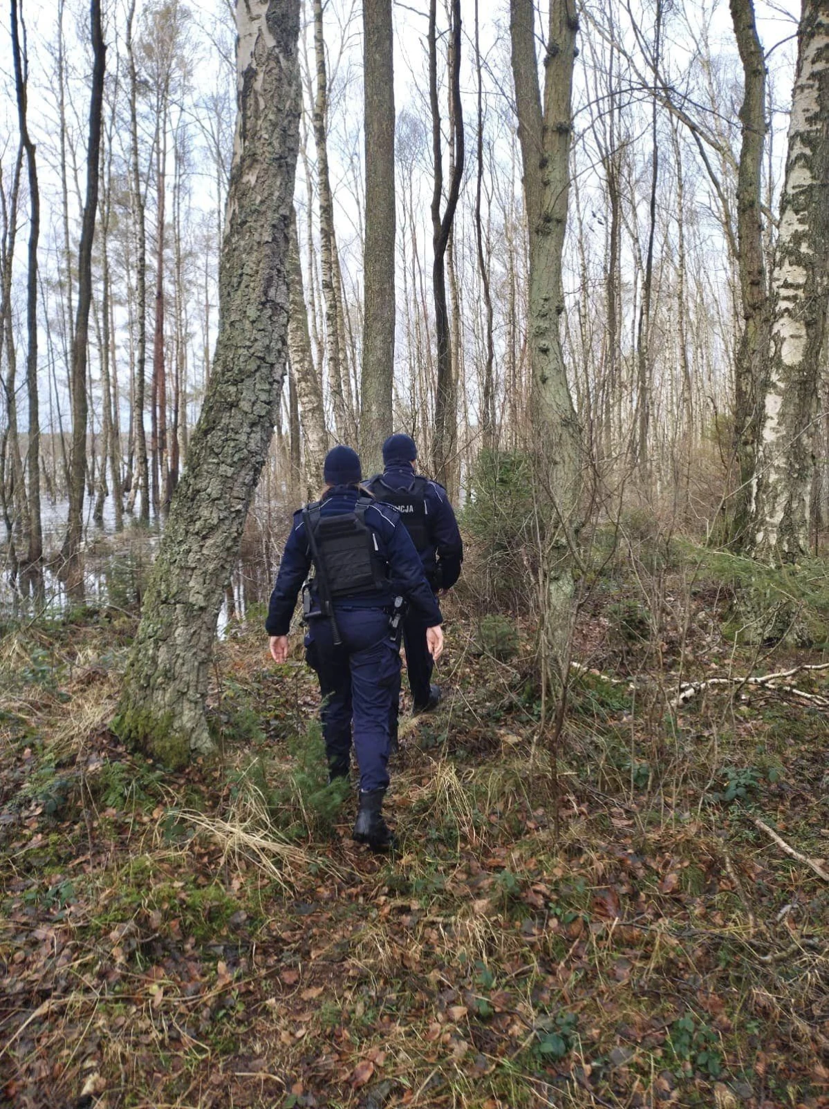 Zdjęcie