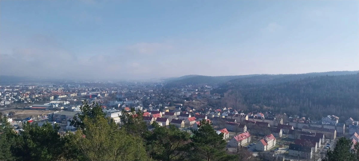 Zdjęcie