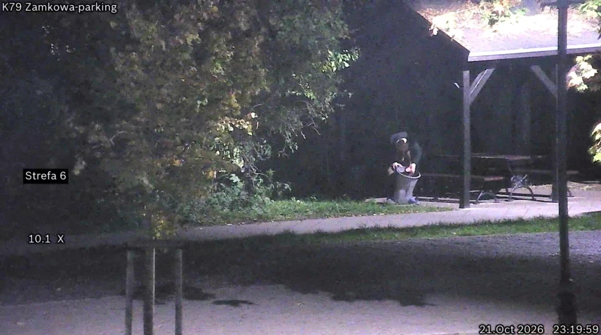 Zdjęcie