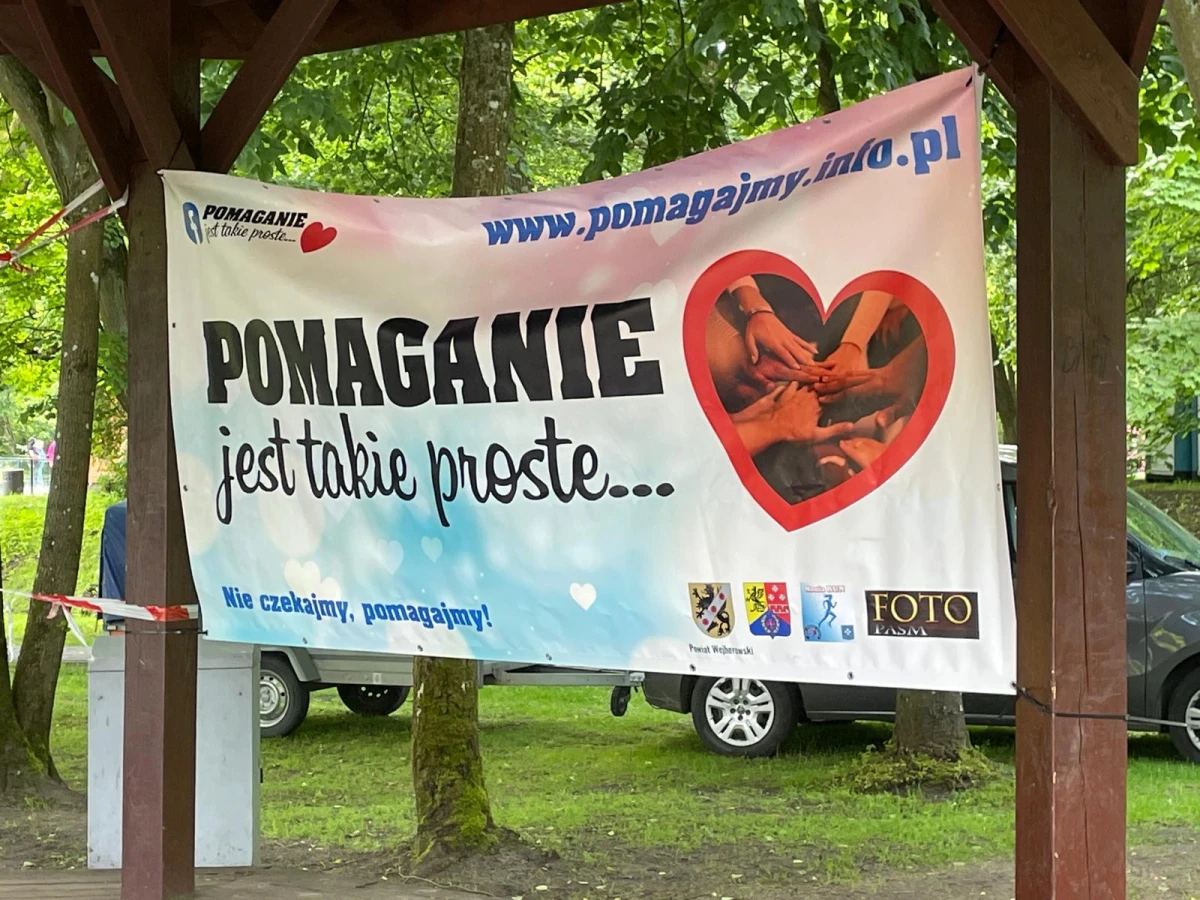 Zdjęcie