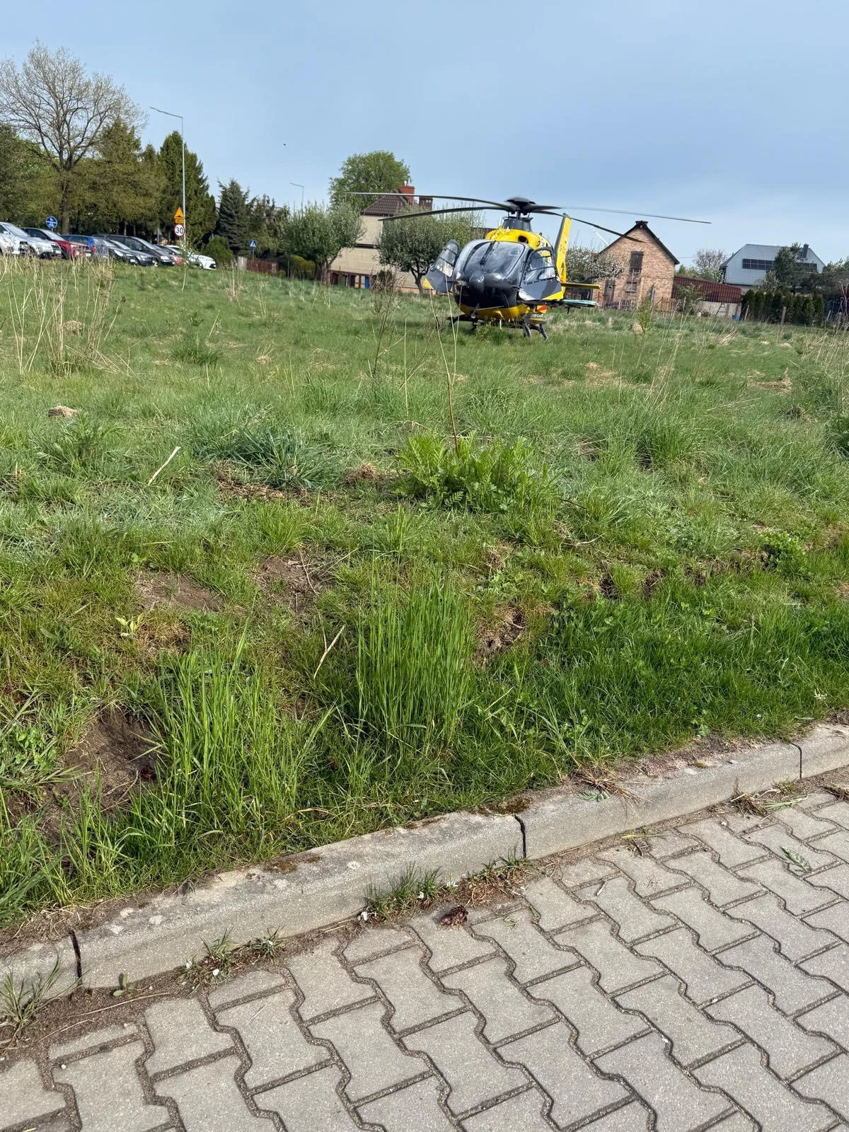 Zdjęcie