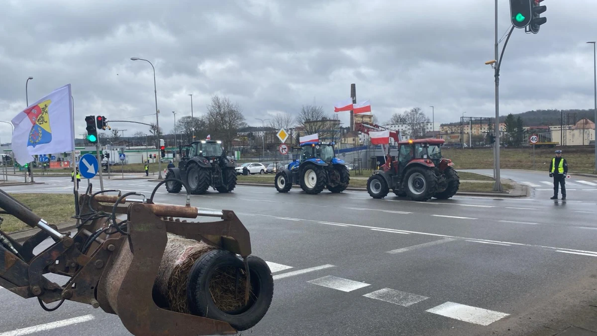 Zdjęcie