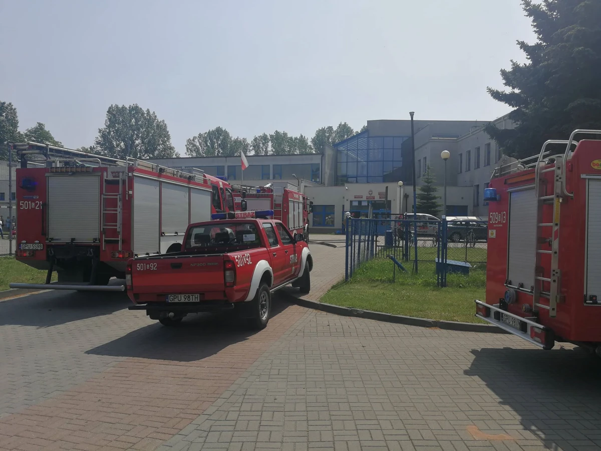Zdjęcie