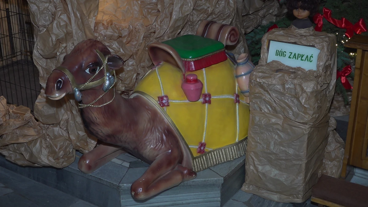 Zdjęcie