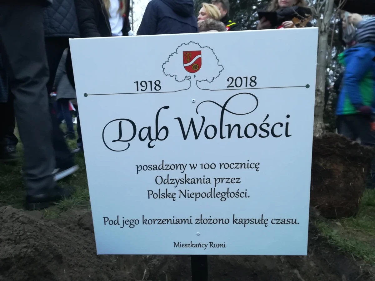 Zdjęcie