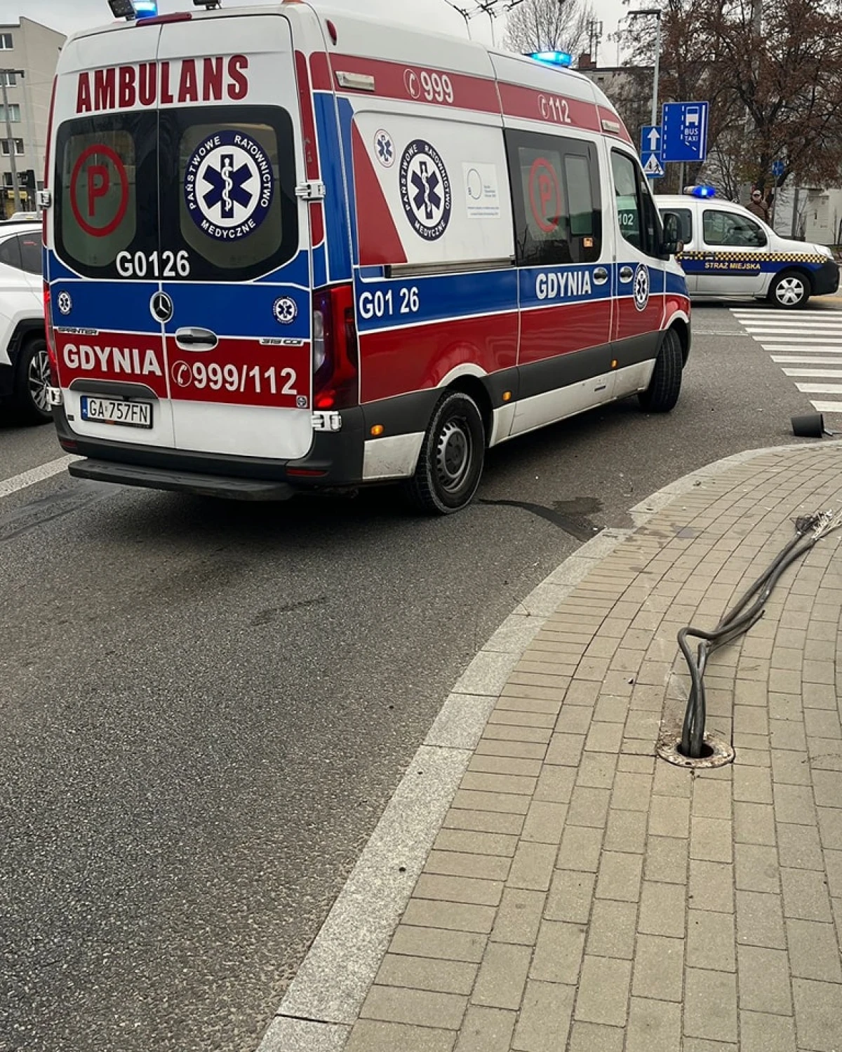 Zdjęcie