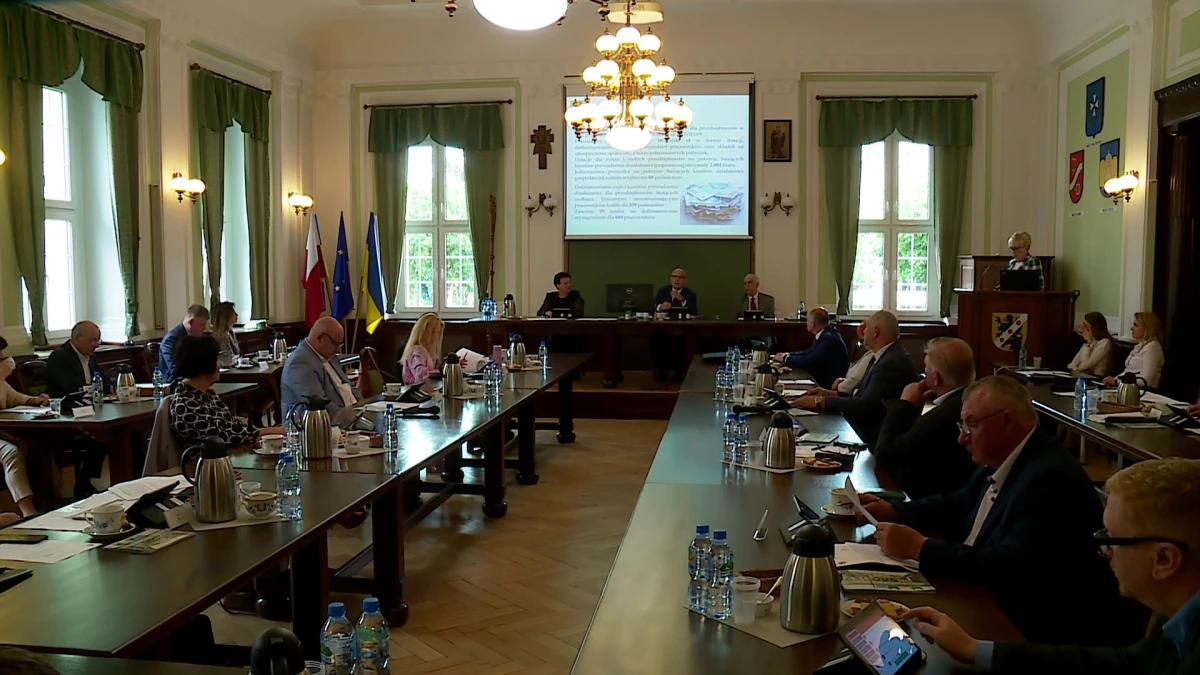 Zdjęcie