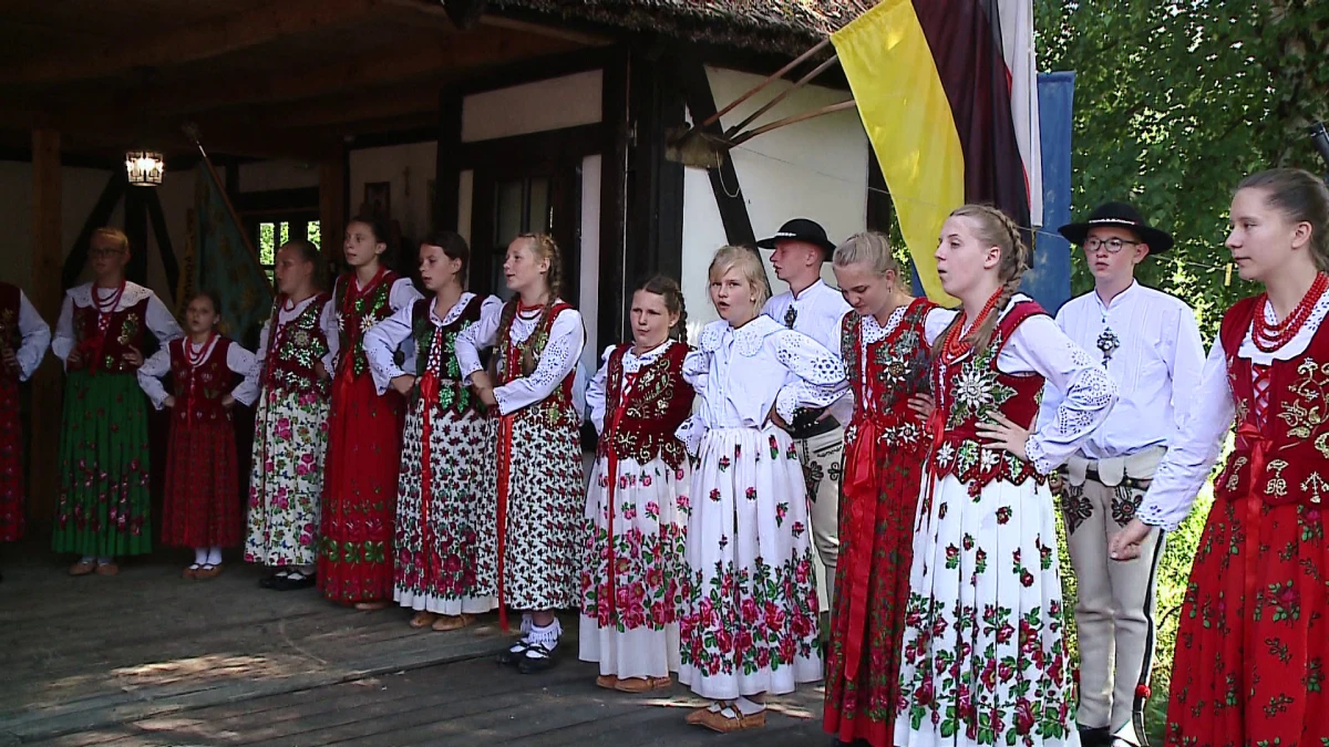 Zdjęcie