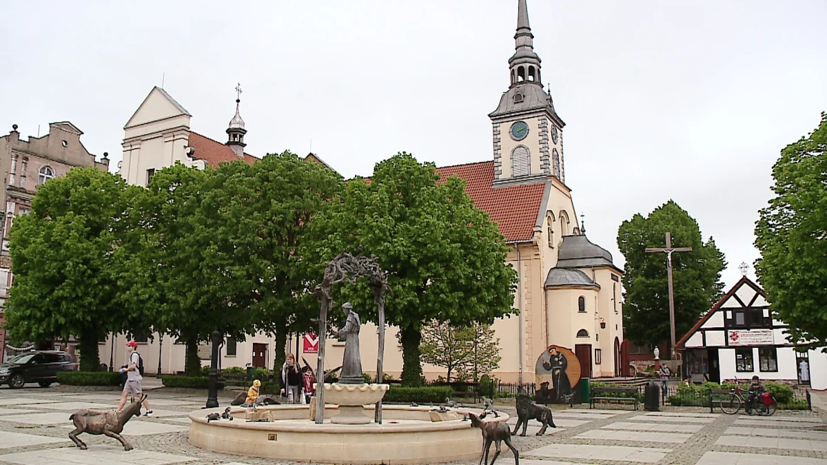 Zdjęcie