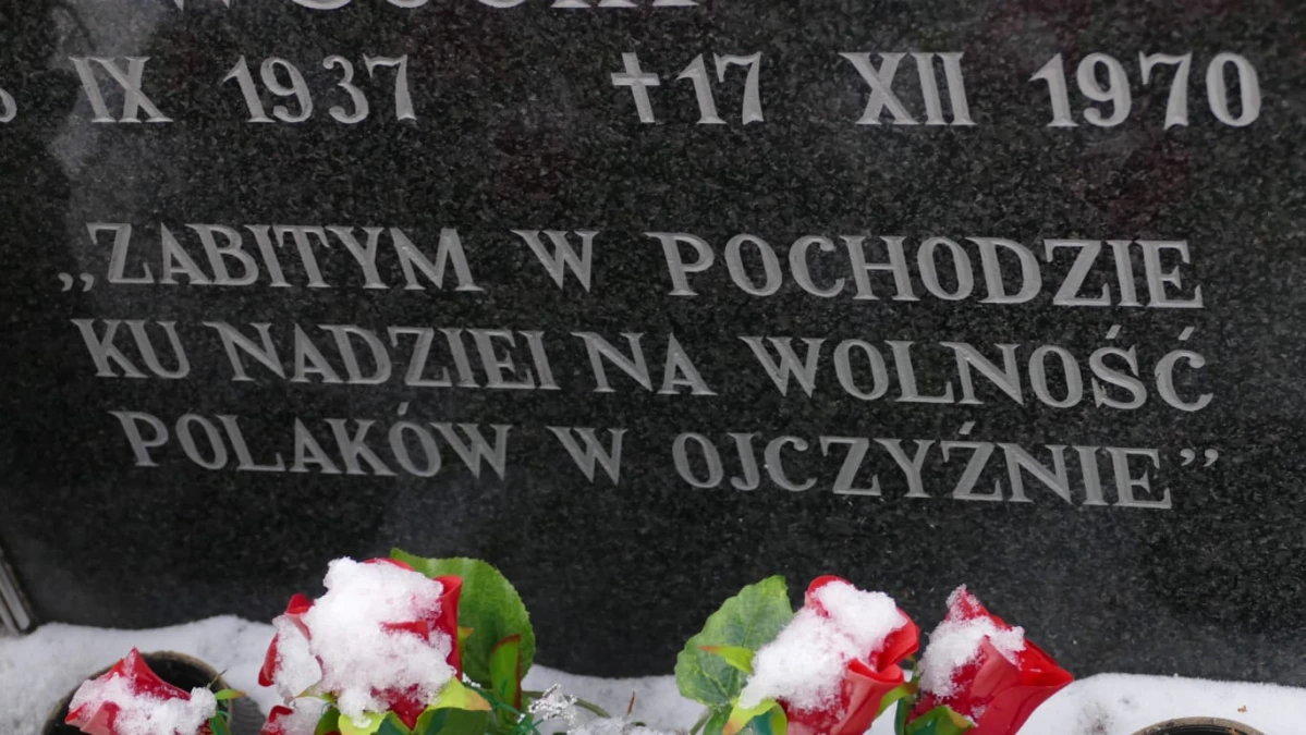 Zdjęcie