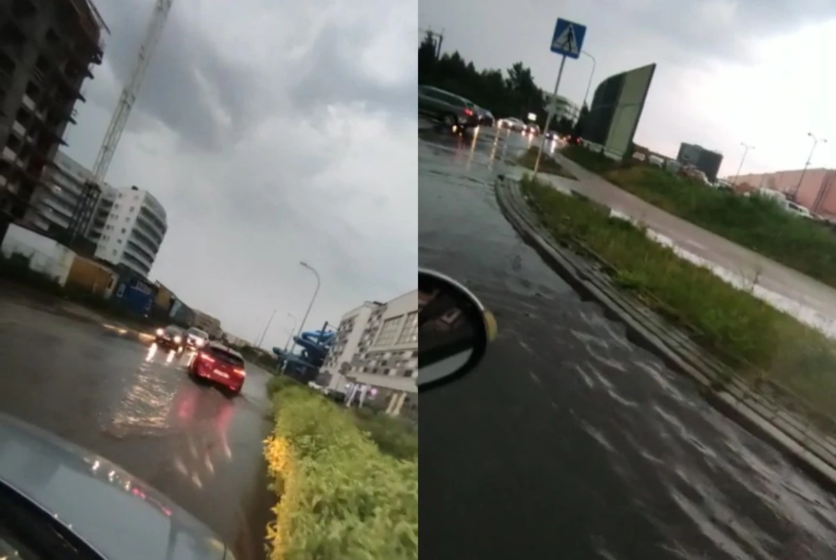 Zdjęcie