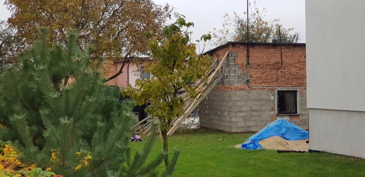 Zdjęcie