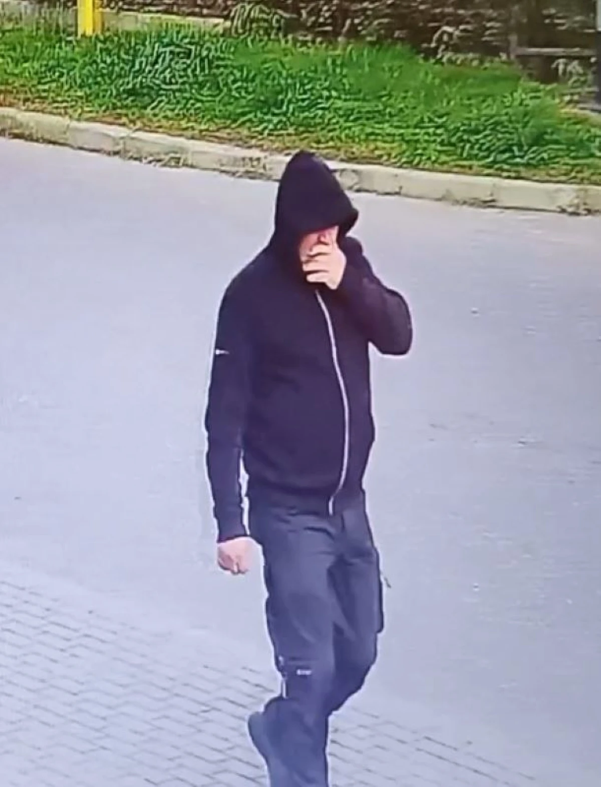 Zdjęcie