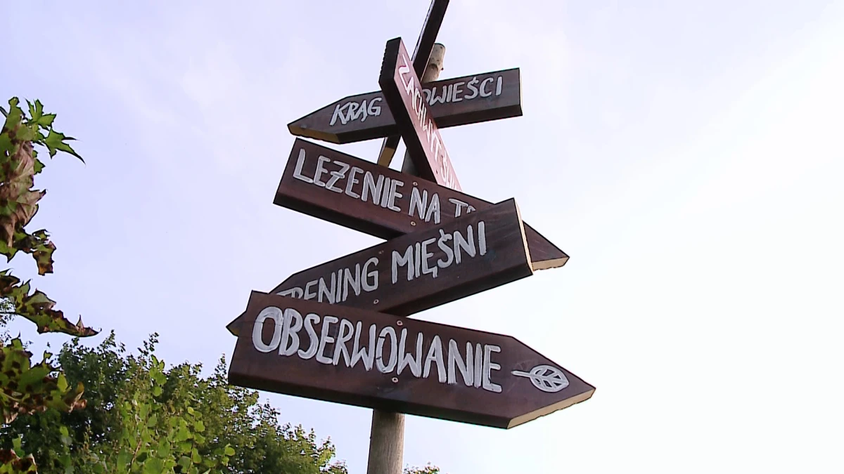 Zdjęcie