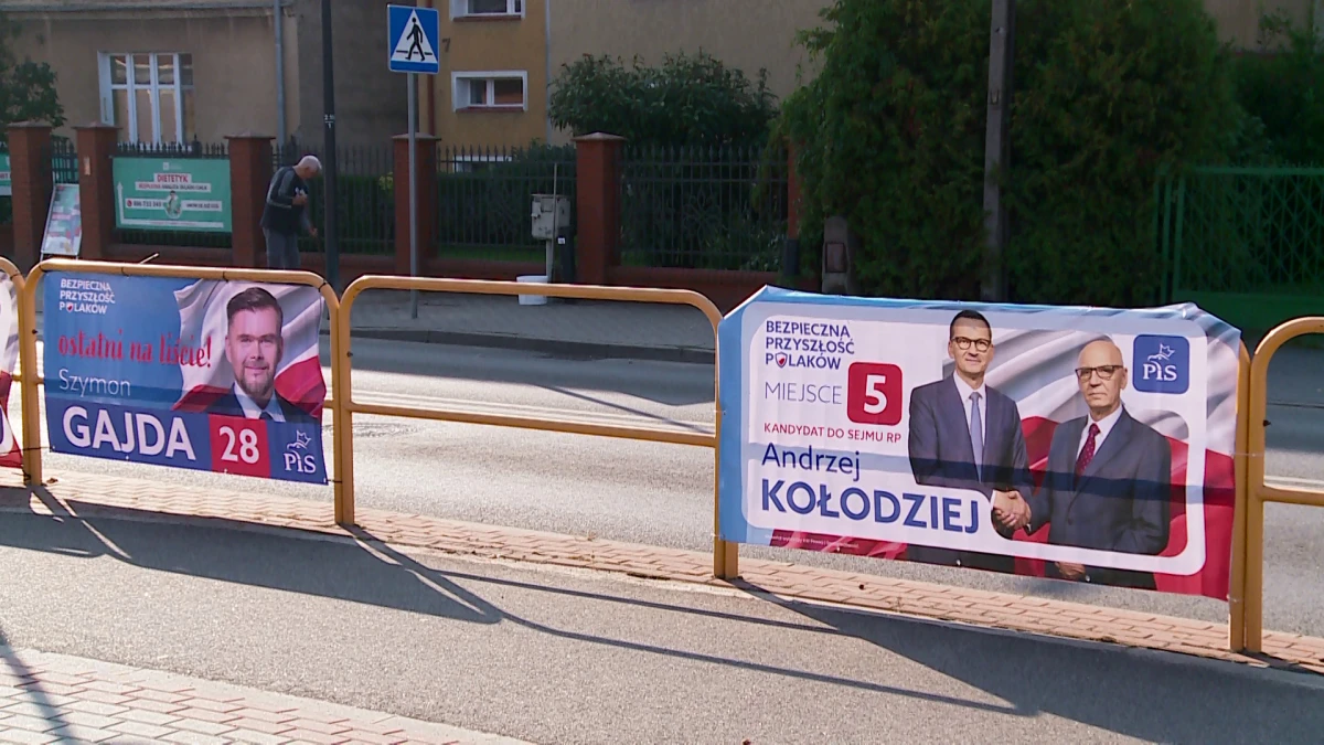 Zdjęcie