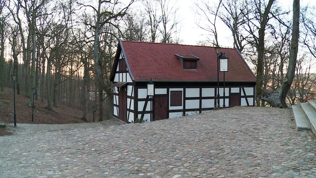 Zdjęcie