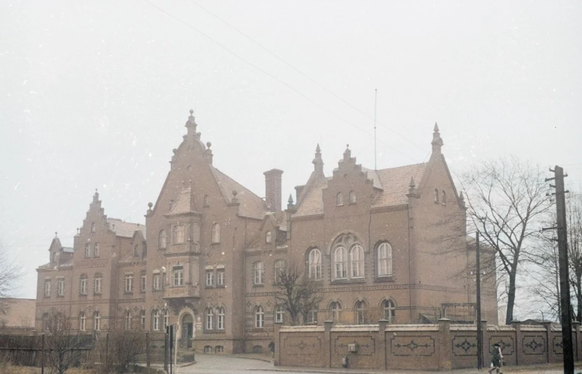 Zdjęcie