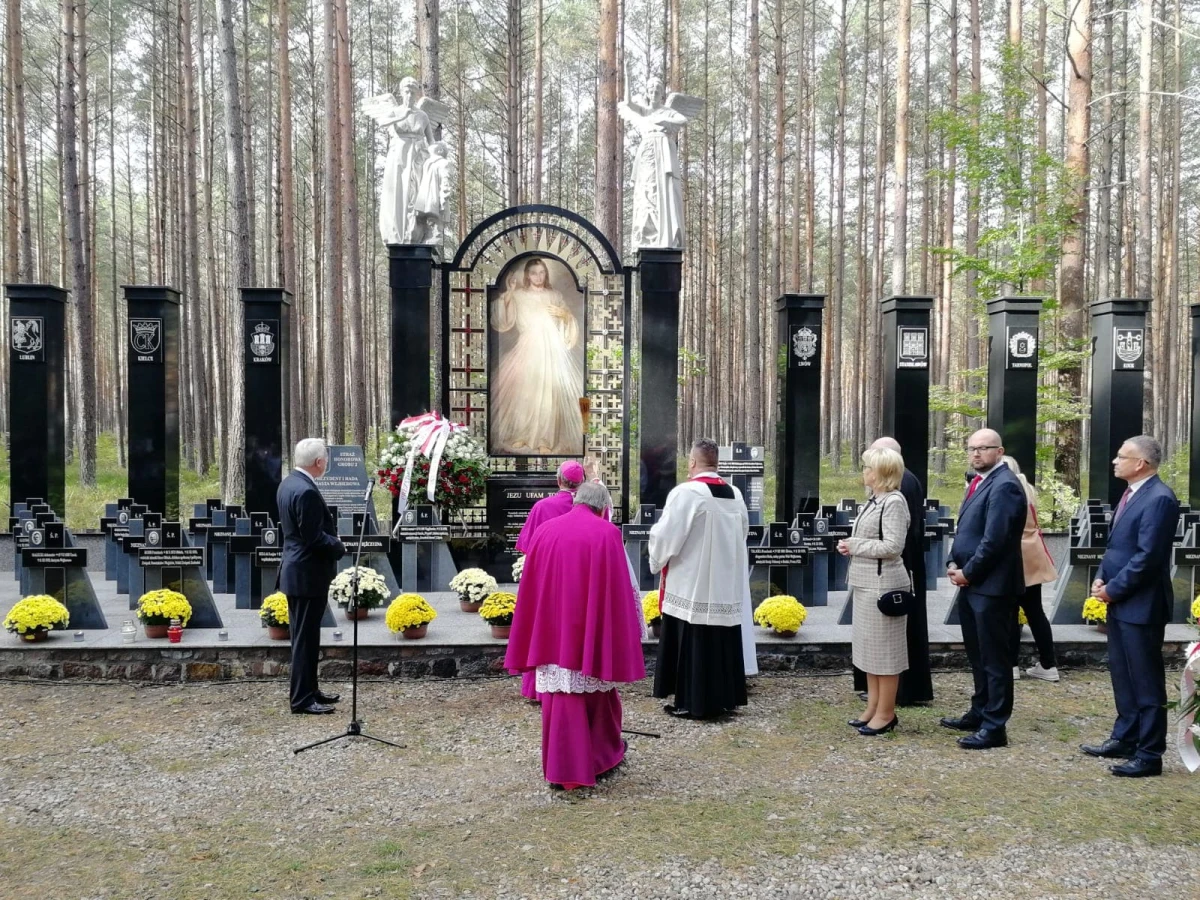 Zdjęcie