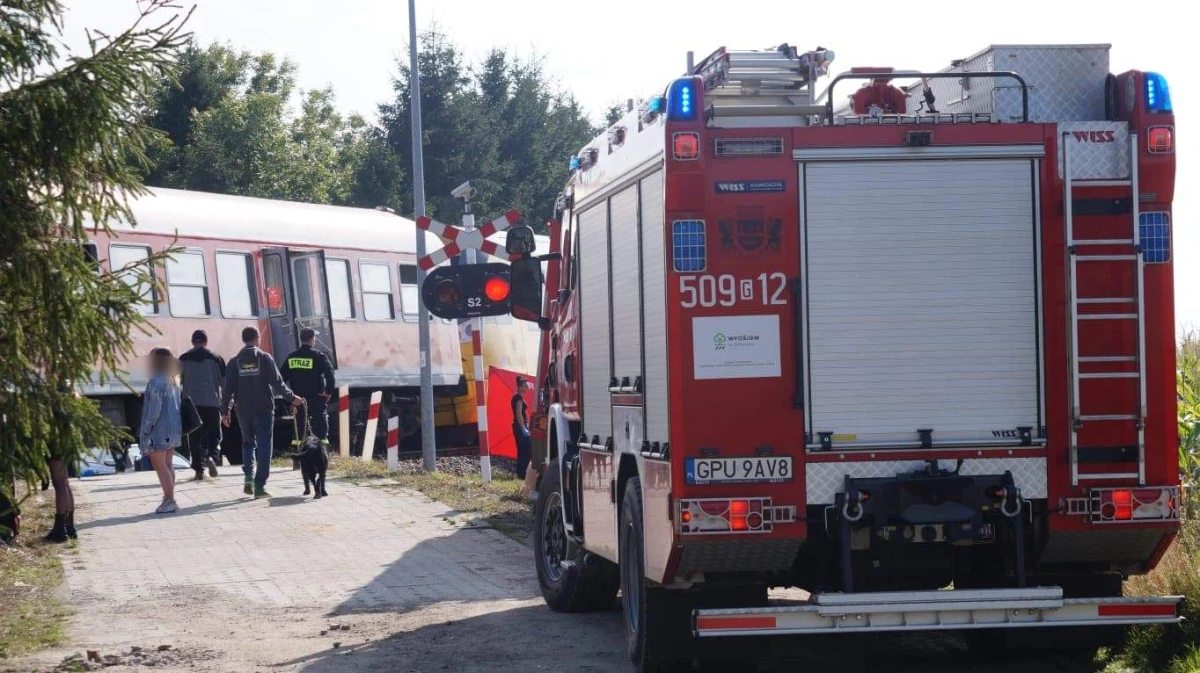 Zdjęcie