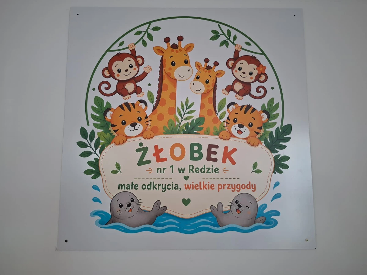 Zdjęcie