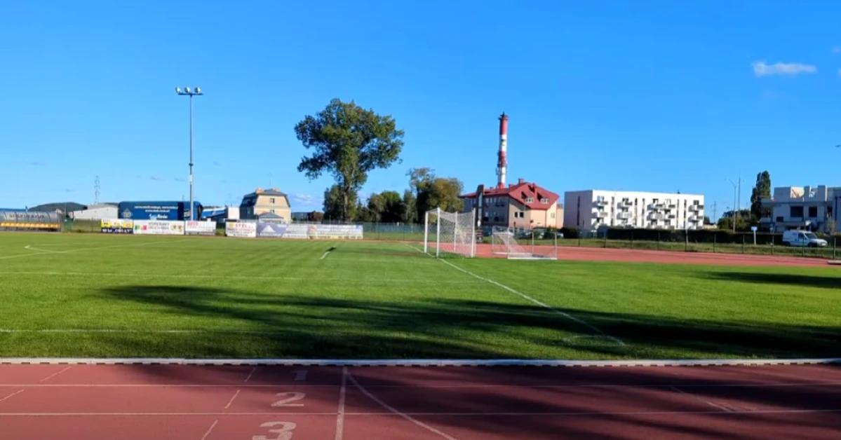 Zdjęcie