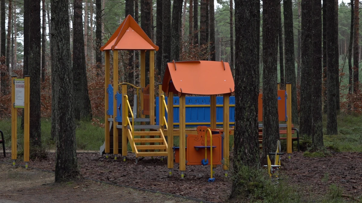 Zdjęcie
