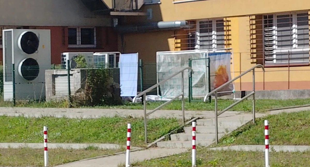 Zdjęcie