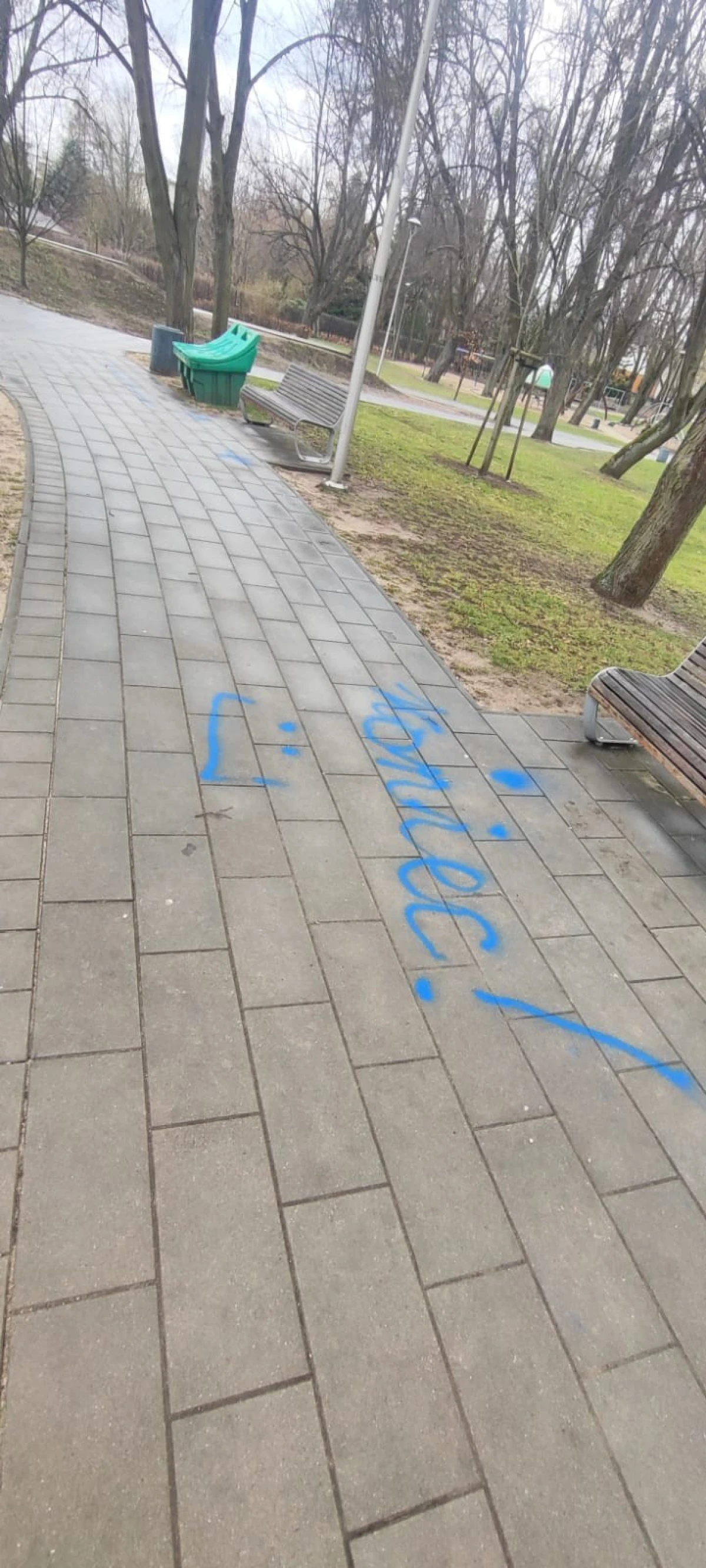 Zdjęcie