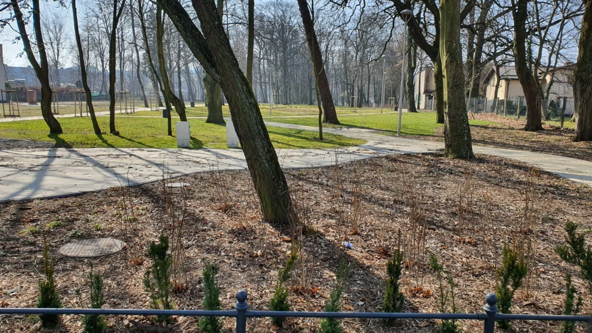 Zdjęcie