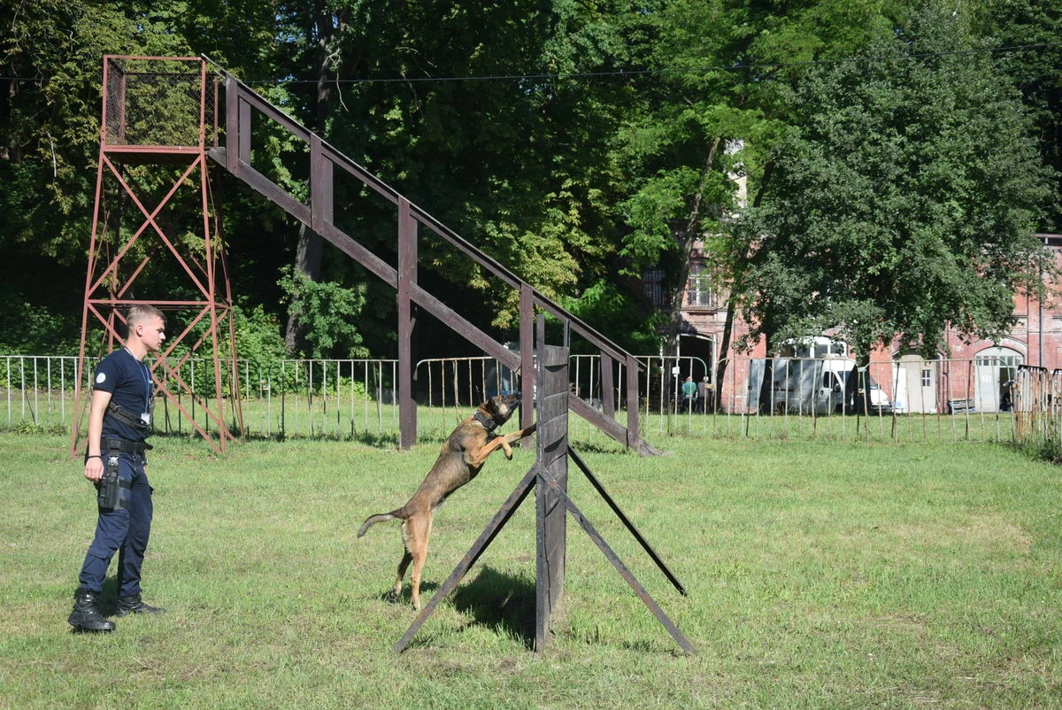 Zdjęcie
