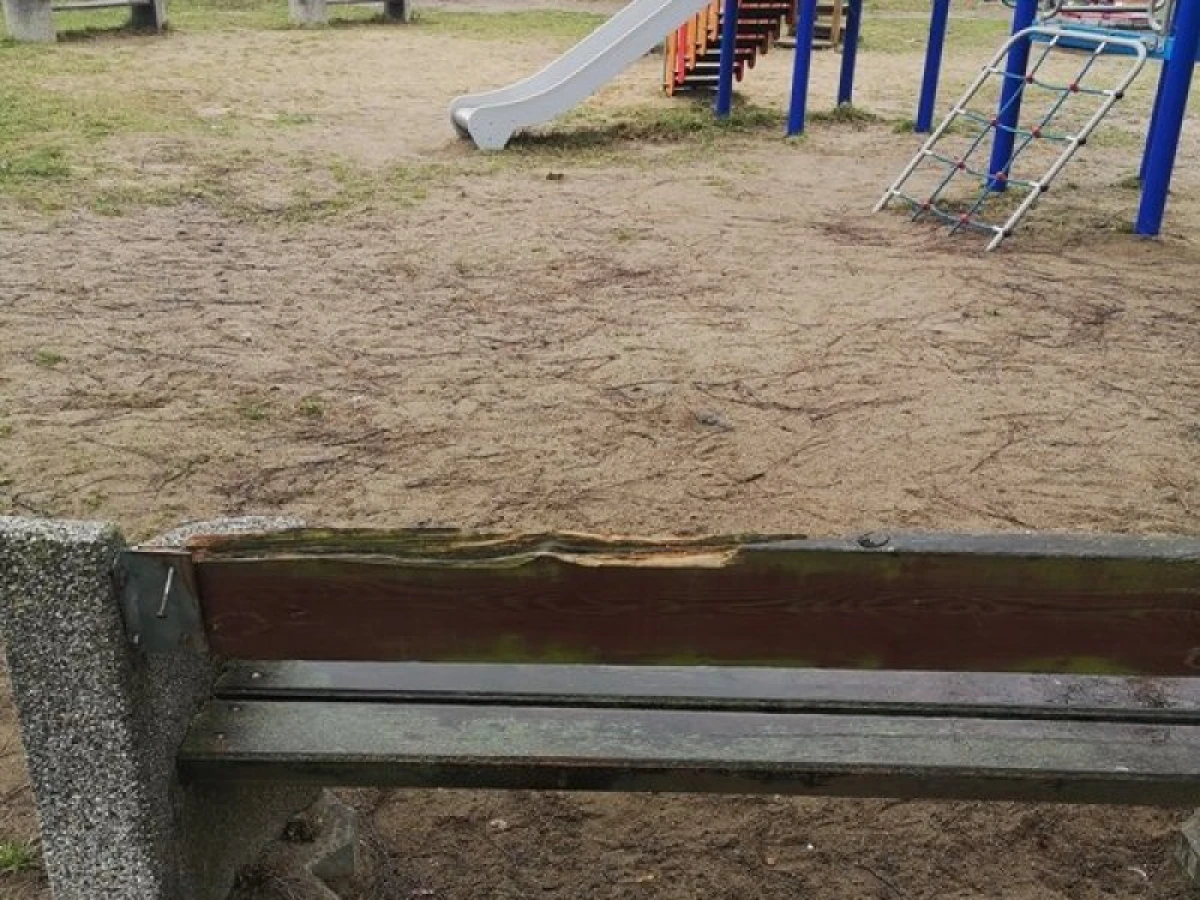 Zdjęcie