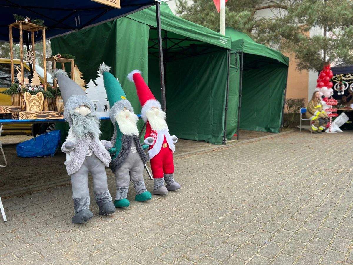 Zdjęcie