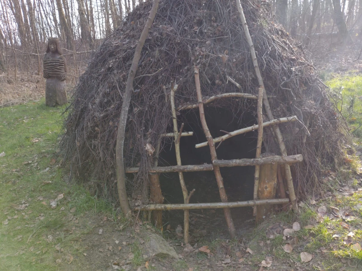 Zdjęcie