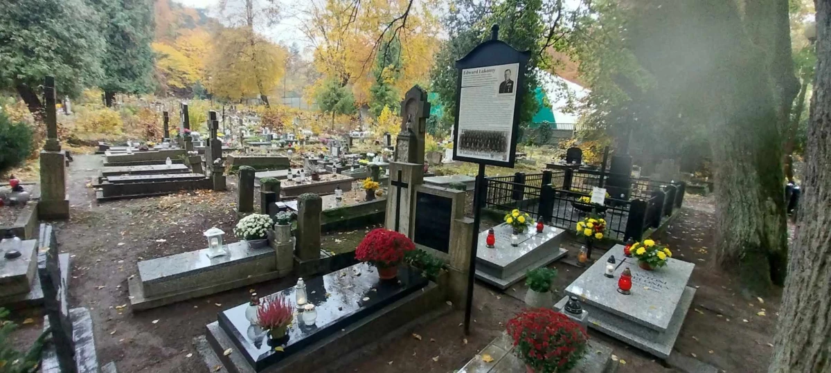 Zdjęcie