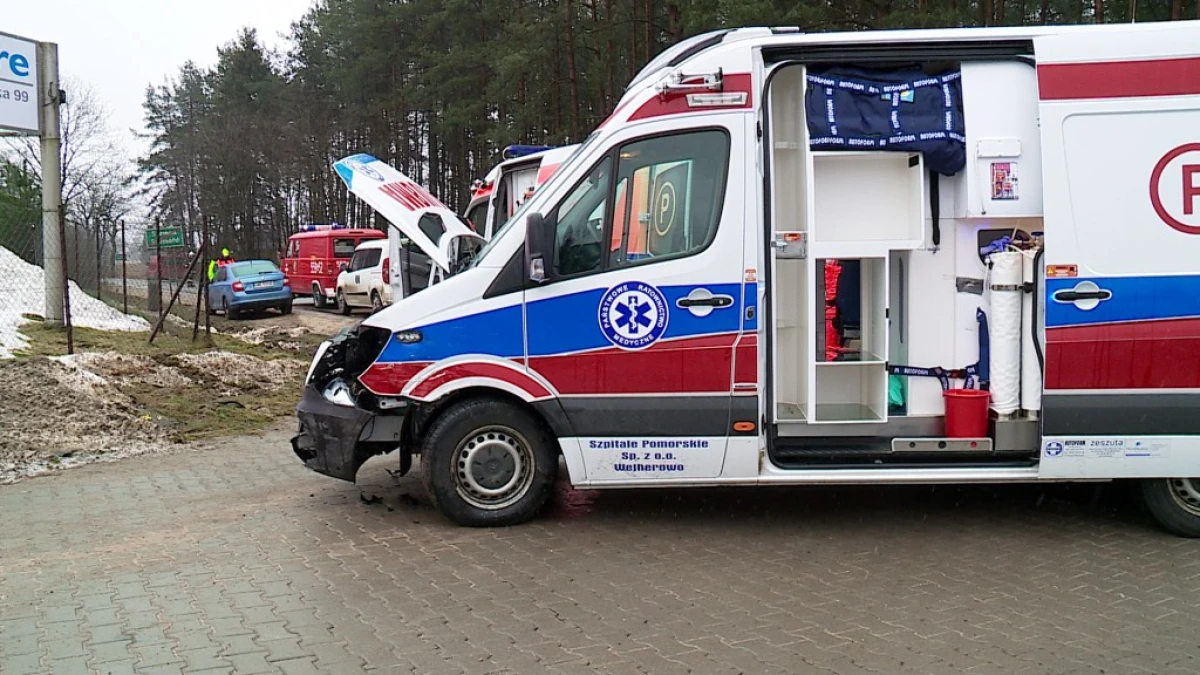 Zdjęcie