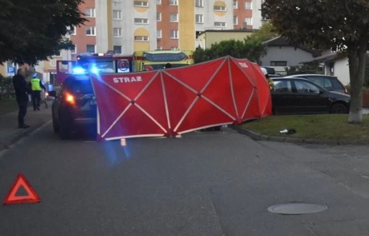 Zdjęcie