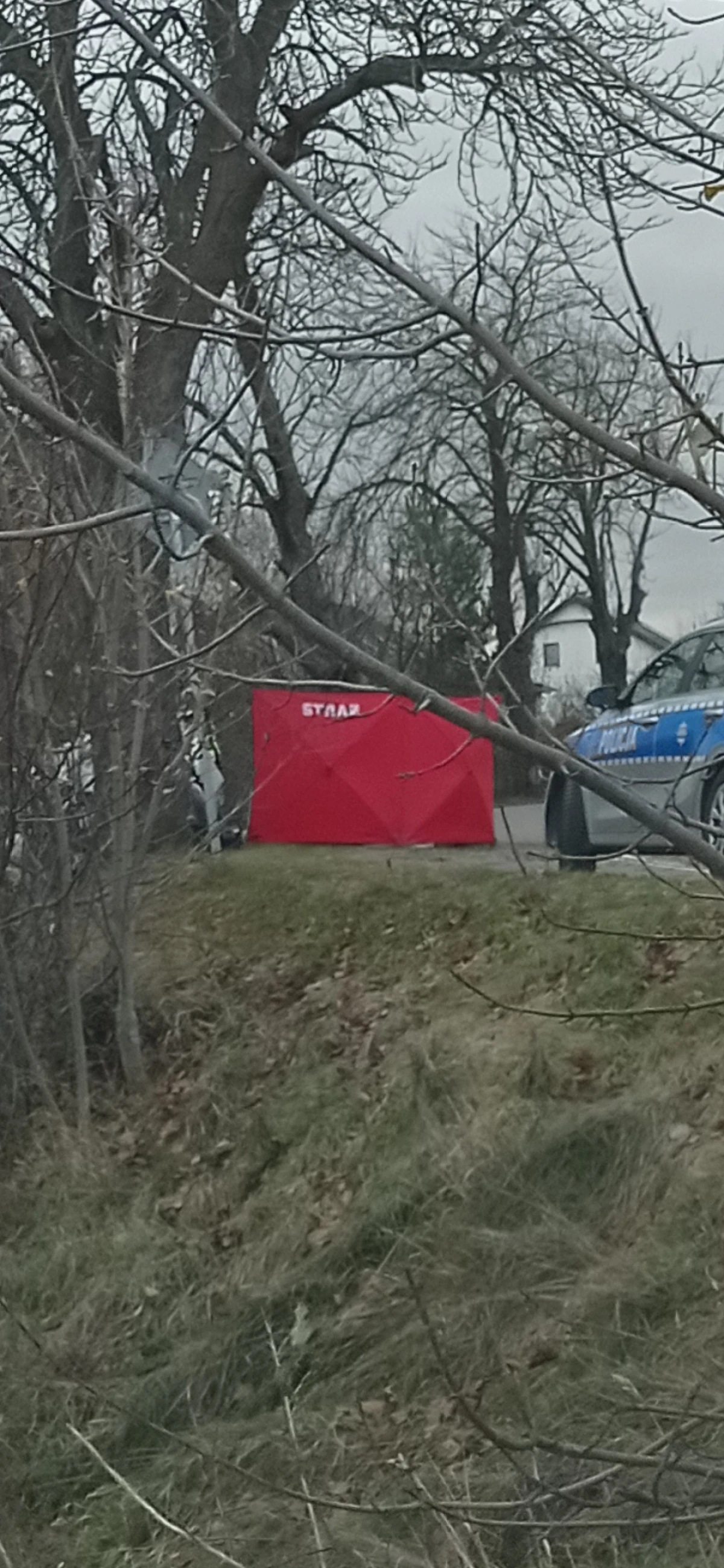 Zdjęcie
