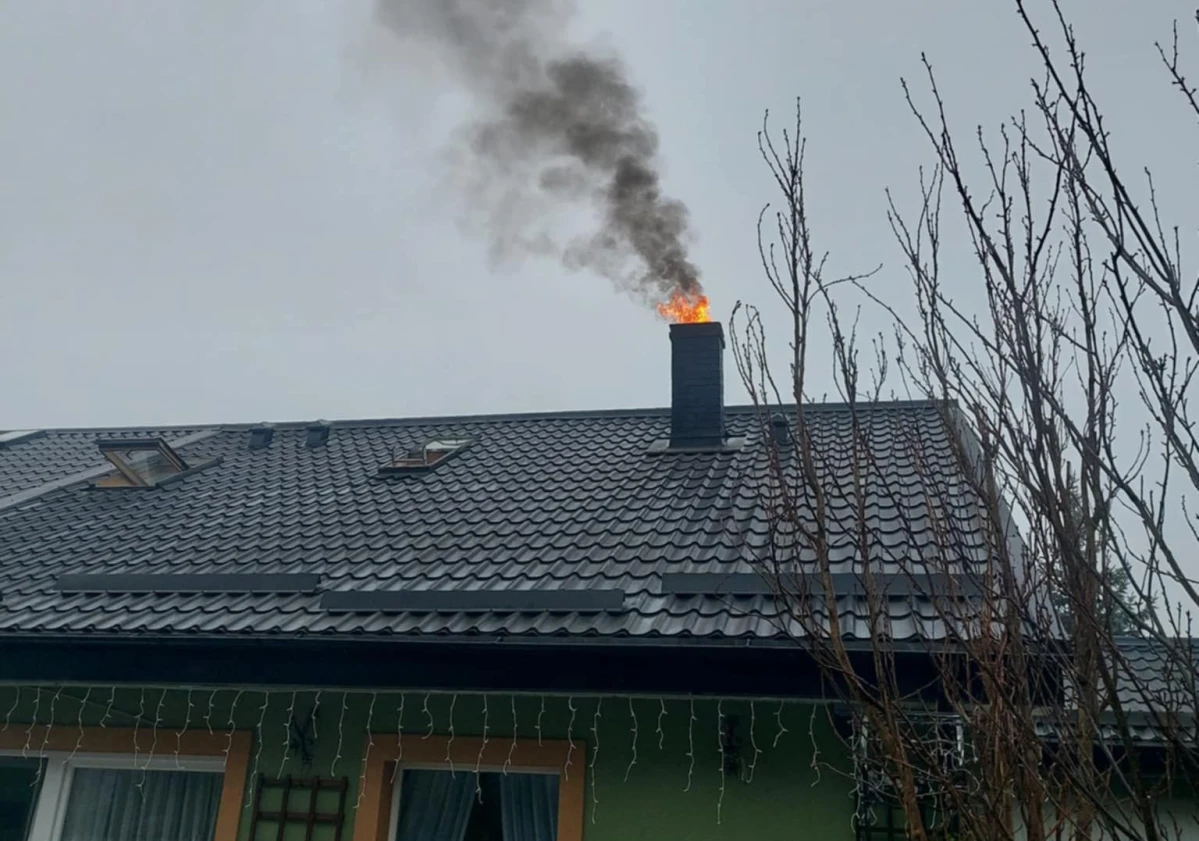 Zdjęcie