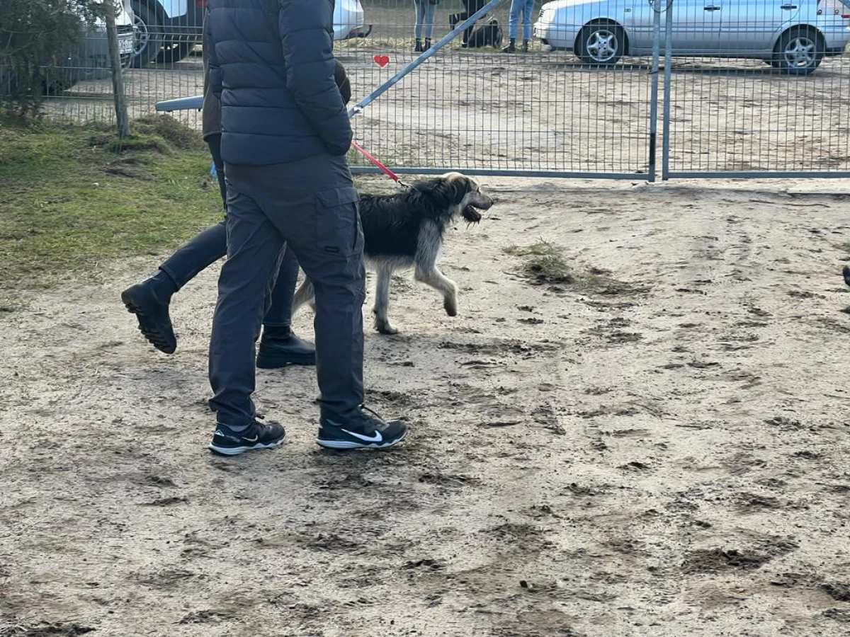 Zdjęcie
