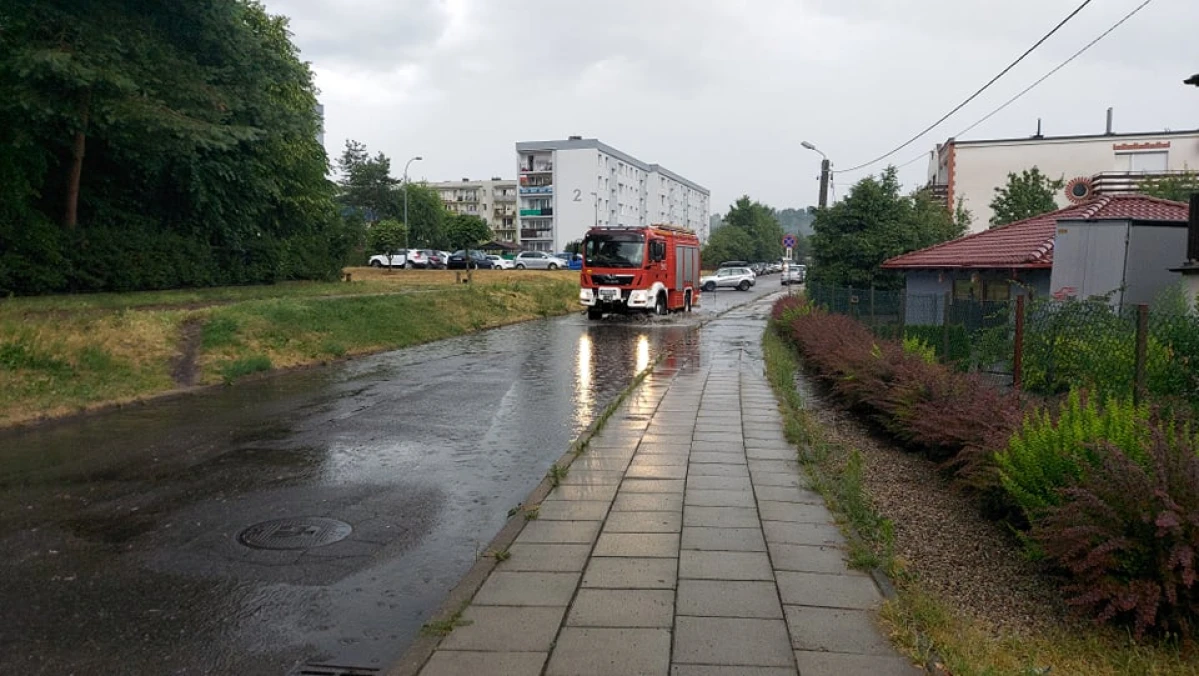 Zdjęcie