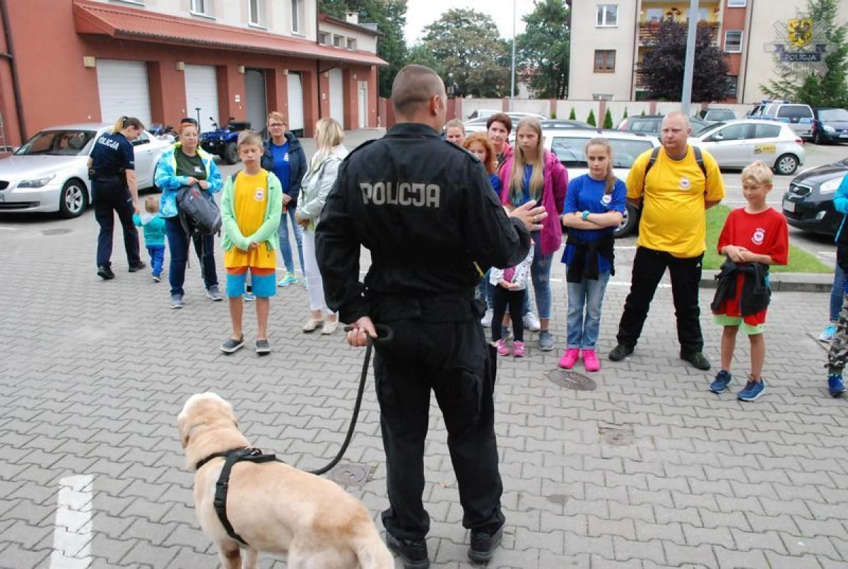 Zdjęcie
