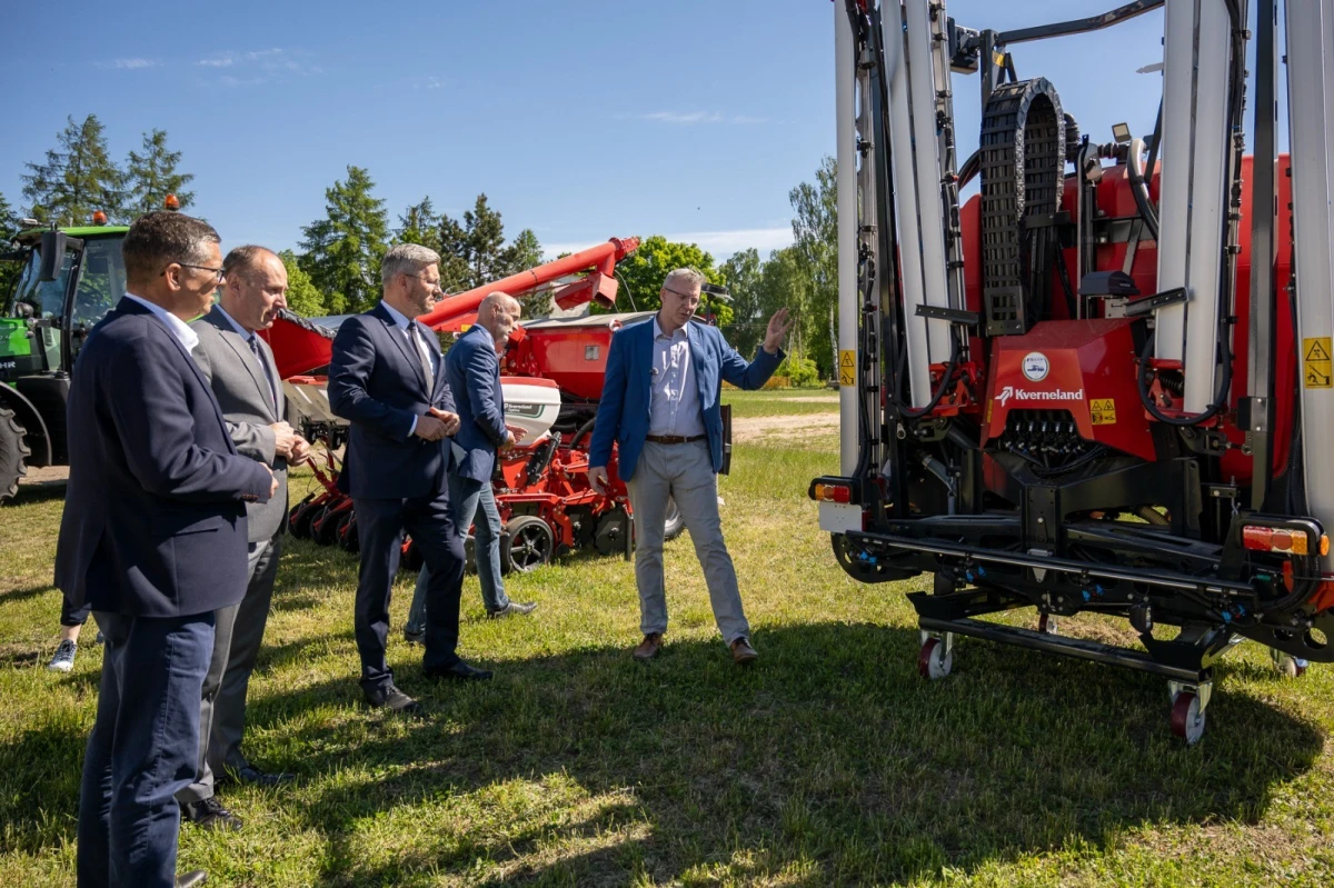Zdjęcie
