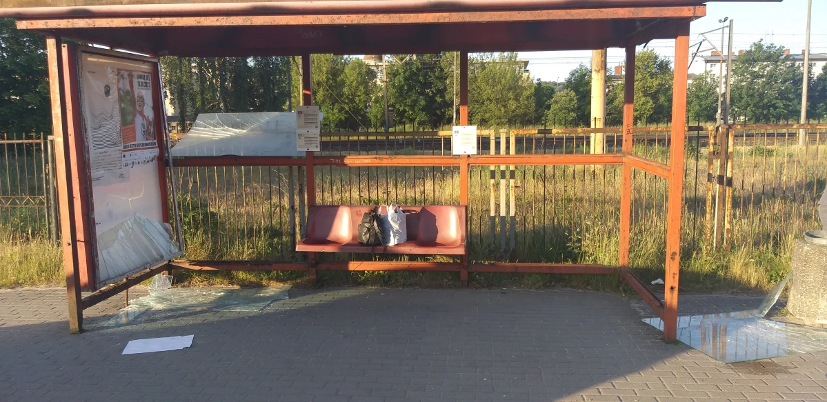 Zdjęcie