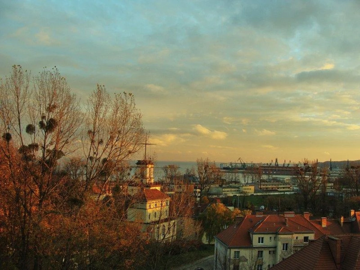 Zdjęcie