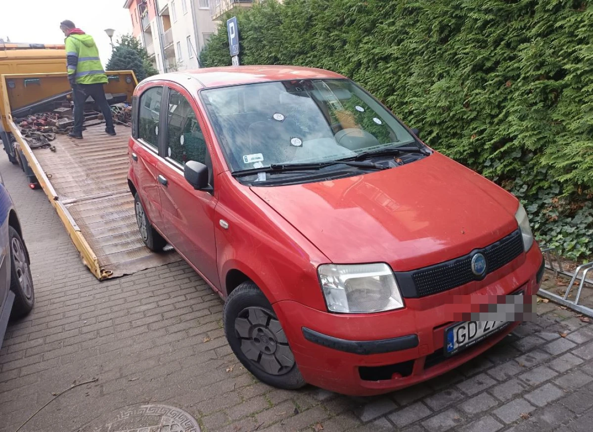 Zdjęcie