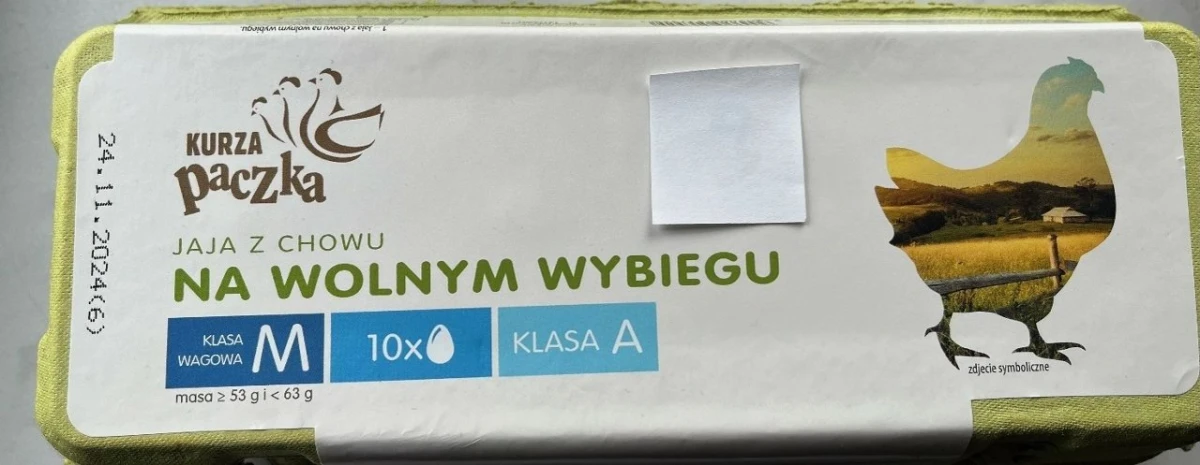 Zdjęcie