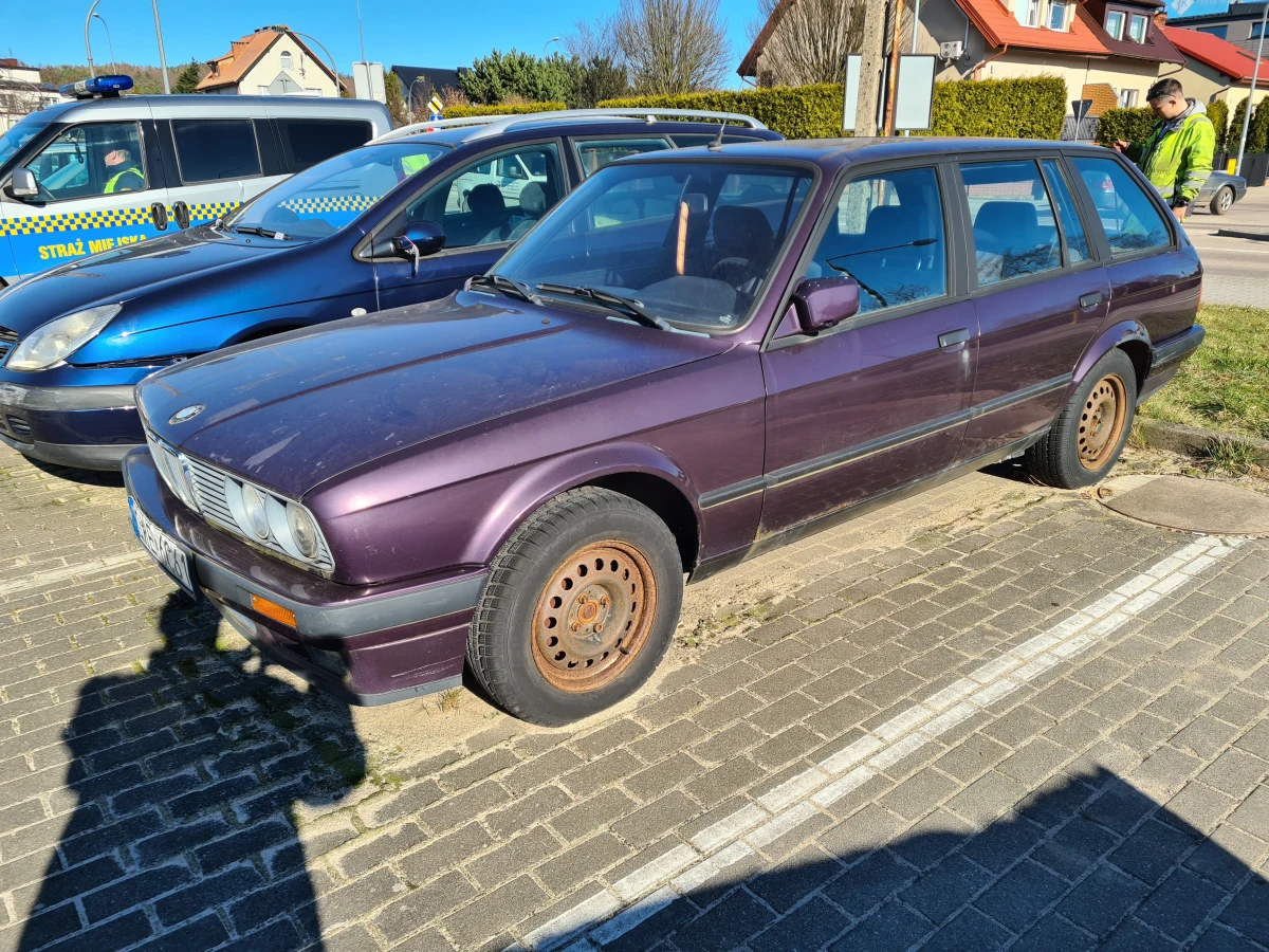 Zdjęcie