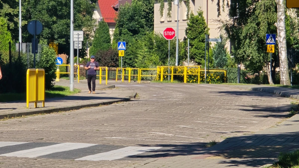 Zdjęcie
