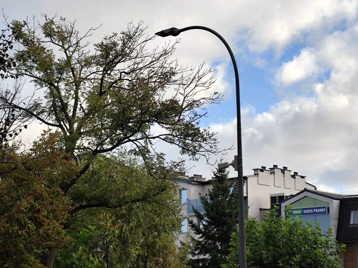 Zdjęcie