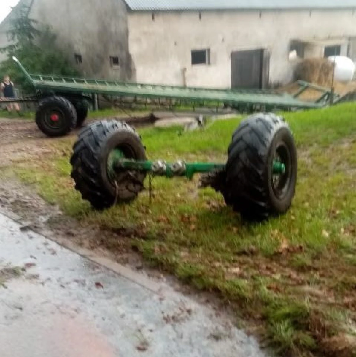 Zdjęcie
